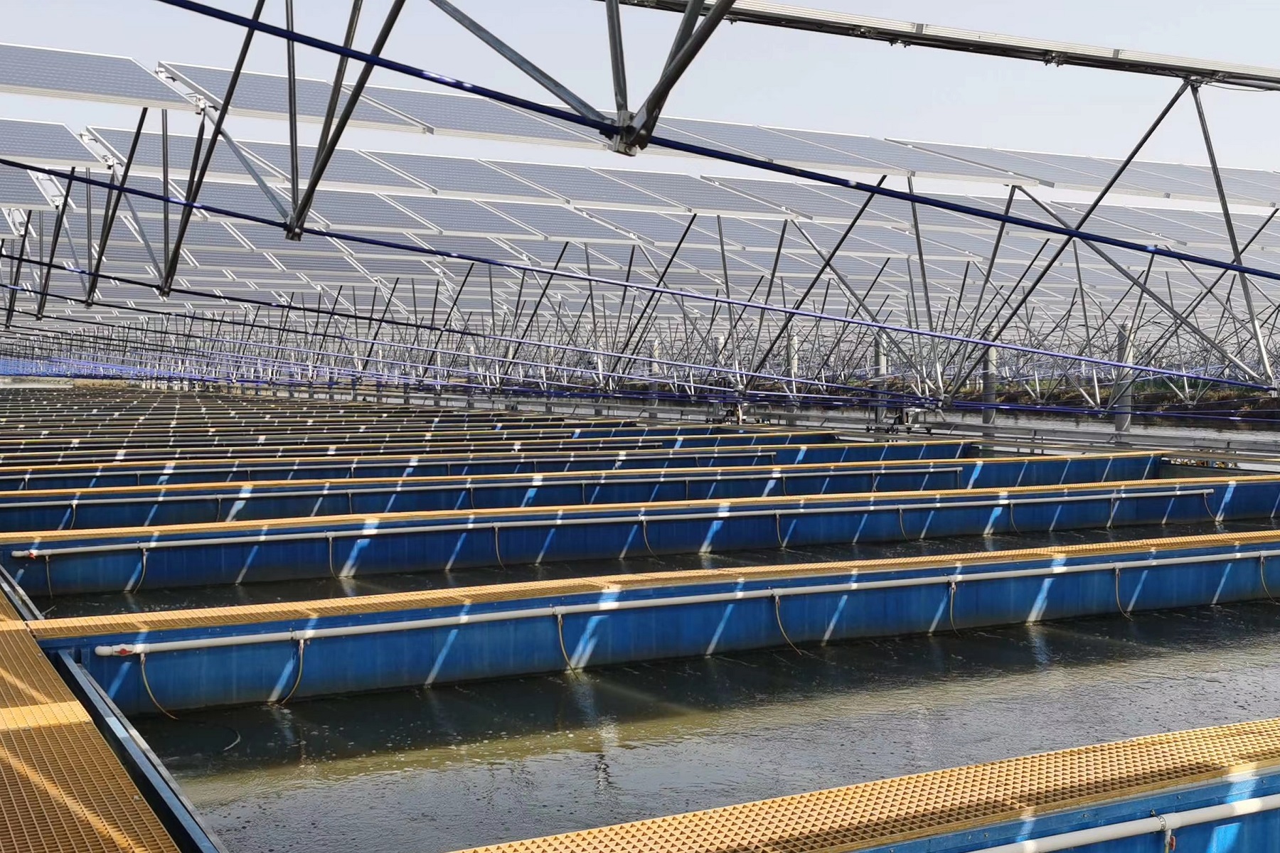 光伏支架新选择：索结构系统原理与优势全解析