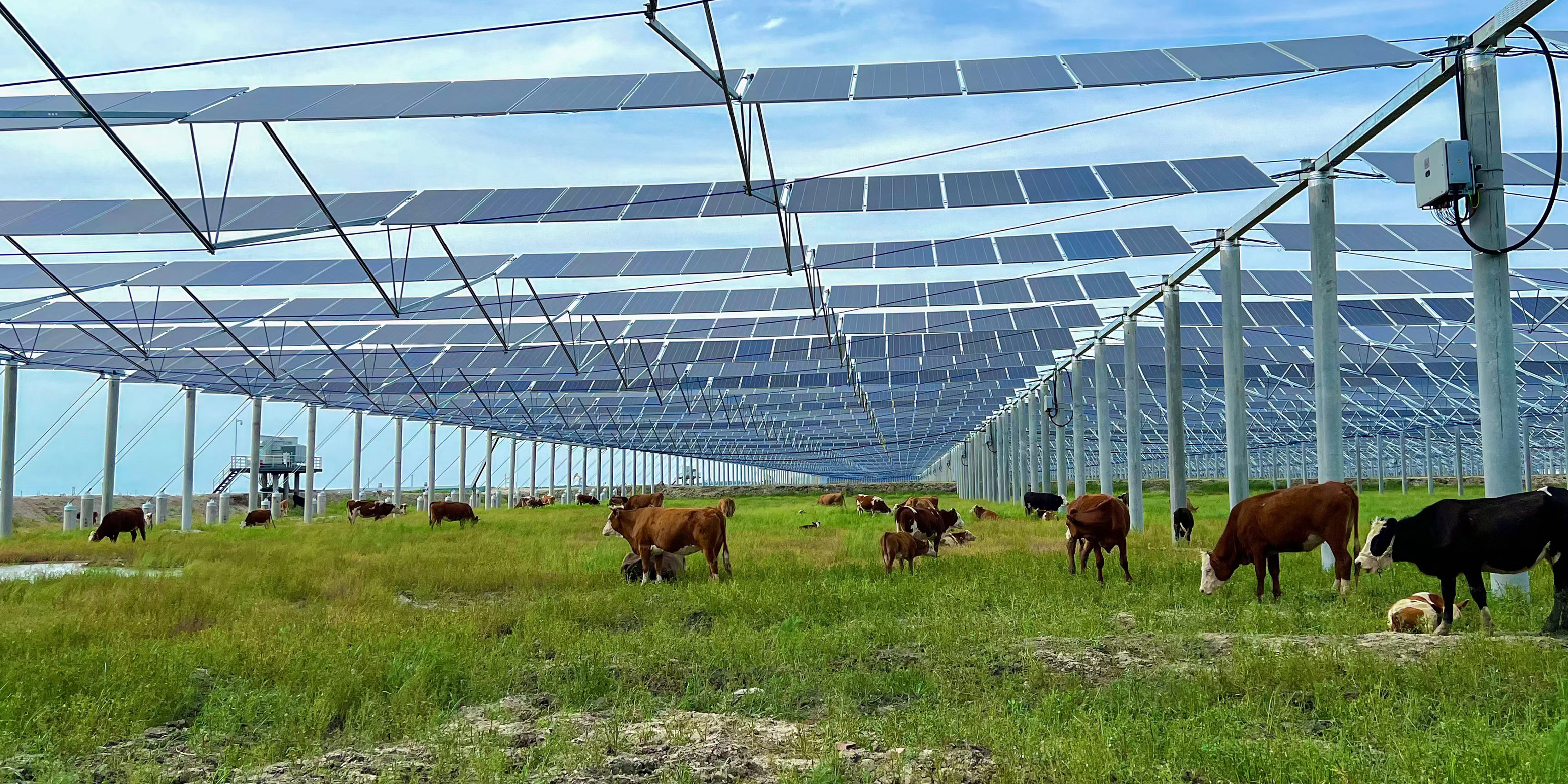 告别传统钢架？浅谈柔性索结构在光伏电站中的应用