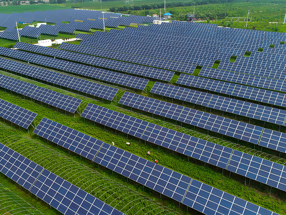 专业地面光伏支架系统解决方案