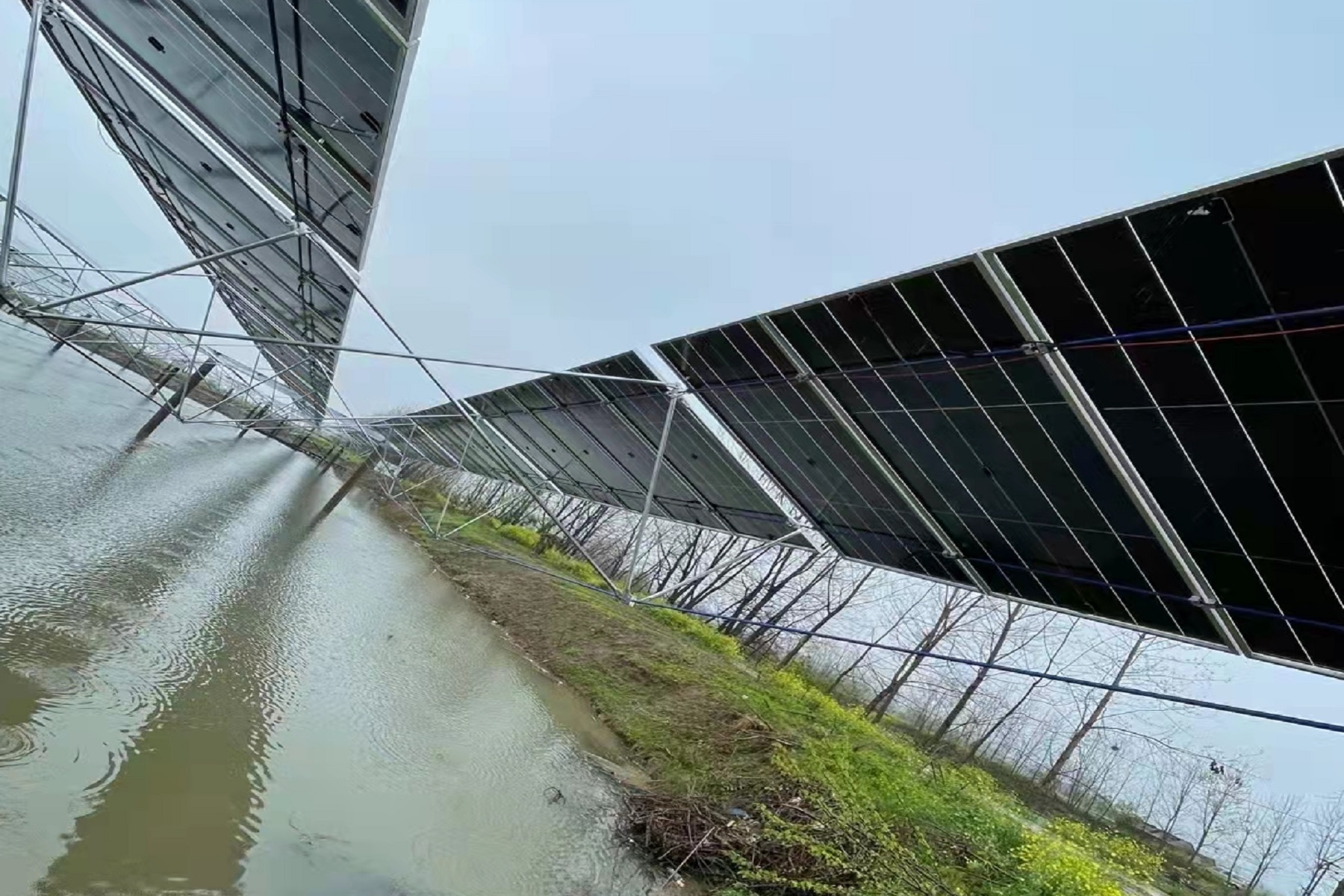 渔光互补支架为什么贵？贵在哪？